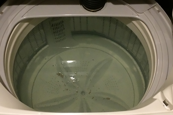 Gunk from washer drum